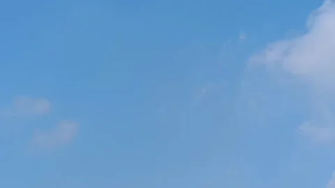 Vast Clear Blue Sky with a Lone Bird Flying Free Symbolizing Unlimited Potential Stock Footage 338221869