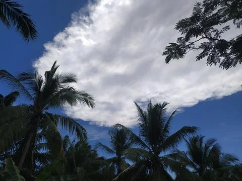 Vast Cloud Stock Photos