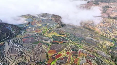 Vast Colorful Terraced Rice Fields Under Cloudy Sky Yuanyang Yunnan China Stock Footage 346424710