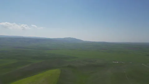 A vast, dark green plain under a clear sky with a thin line of white clouds. Stock Footage 334531032