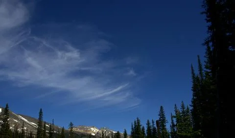 Vast Deep Blue Sky Over Shaded Evergreen Forests and Distant Snowy Peaks Stock Photos