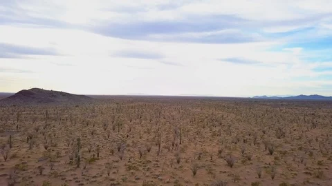Vast Desert 1 Stock Footage 93767332