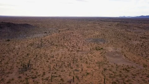 Vast Desert 2 Stock Footage 93767306