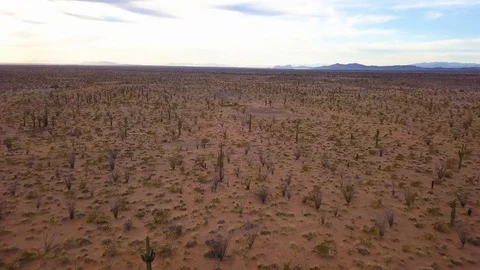 Vast Desert 3 Stock Footage 93767329