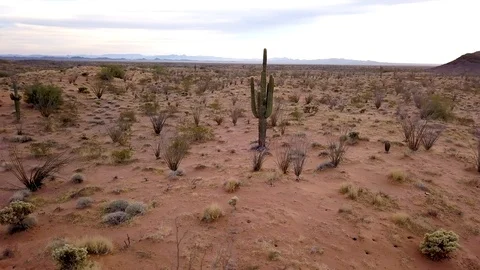 Vast Desert 5 Stock Footage 93767305