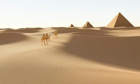 The vast desert is distant with pyramids and a number of camels walk in the.. 스톡 일러스트