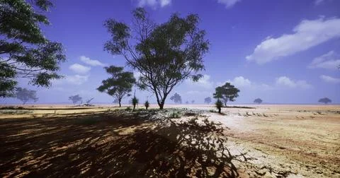Vast desert landscape with sparse trees under a bright blue sky 스톡 일러스트