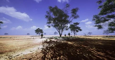 Vast dry landscape with sparse trees and blue sky under bright sunlight 스톡 일러스트