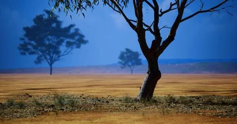 Vast dry landscape with sparse trees under a deep blue sky at midday Stock Illustration