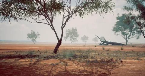 Vast dry landscape with sparse trees and distant foliage under a cloudy sky 스톡 일러스트