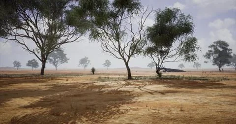 Vast dry landscape with sparse vegetation and distant hills in bright dayligh 스톡 일러스트