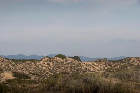 Vast dune landscape Stock Photos
