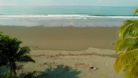 Vast empty beach with a single person walking toward calm ocean waves Stock Footage 321527523