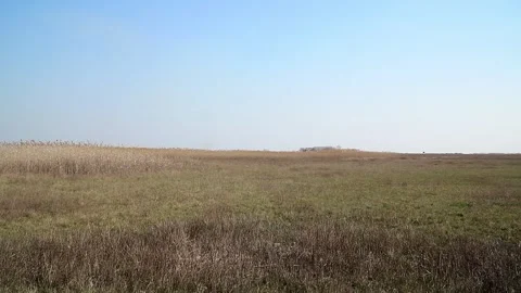 Vast empty field covered with green grass and dry reeds in summer Stock Footage 270501832