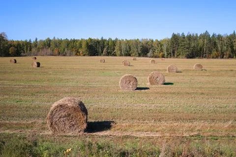 Vast, empty field with several hay bales scattered throughout. 库存照片