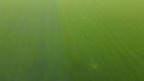 Vast Endless Green Crop Fields Agriculture Electric Line Modern Orbit Circle Video stock 274138809