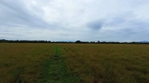 The vast expanse of meadows Stock Footage 198292242