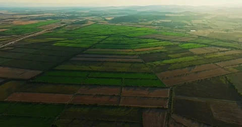 Vast Farmland Geometric Shape Efficiency Agriculture Aerial Fly Over Summer Heat Stock-Footage 289420215