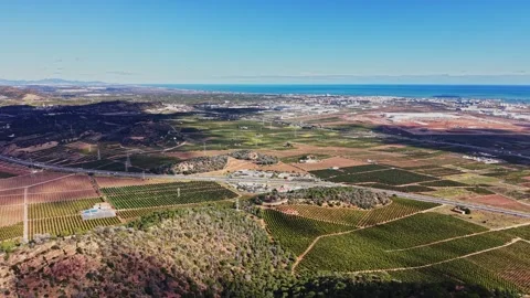 Vast fields and coastline view in Spain with vineyards and roads Stock Footage 327645598