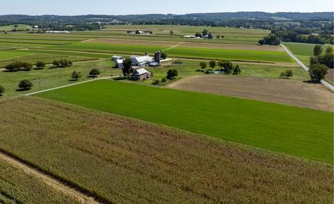 Vast Fields and a Farmstead Under Bright Sunlight in Rural Area With Patche.. Foto stock