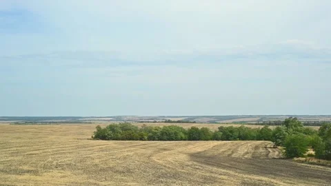 Vast fields and forests of Russia. View from the window of a passenger train. Stock Footage 143391224