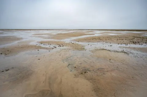 A vast, flat, and expansive sandy landscape stretches out under a cloudy sk.. Stock Photos