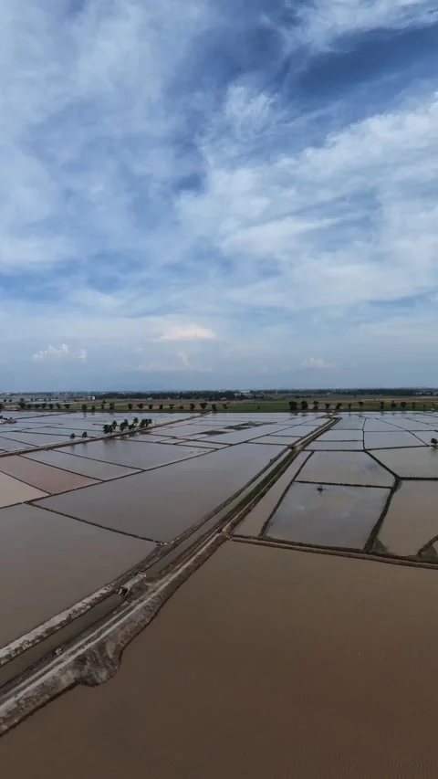 Vast flooded fields stretch beneath a cloudy sky Stock Footage 345409147