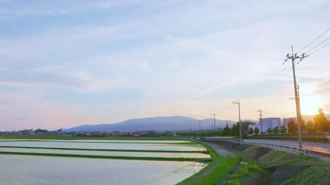 Vast flooded rice fields and rural road with cars at sunset in Japan Stock Footage 337887451