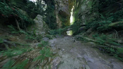 Vast forest canyon with light. Deep jungle ravine with sunlit edges Stock Footage 341833239
