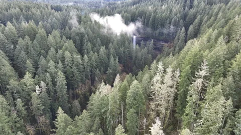 A Vast Forest Grows Around a Scenic Waterfall in Oregon Stock Footage 301647764