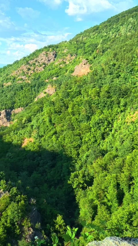 Vast forest stretches below rocky cliff edge. Sokolica rock, Serbia. Vertical Stock Footage 341132264