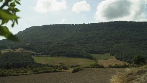 Vast forest view on a sunny summer day, woods countryside. 4K UHD. Spain. POV Stock Footage 119358971