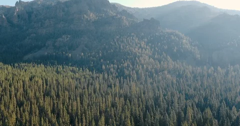 Vast Forests of Gallatin Mountain Range 動画素材 105257007