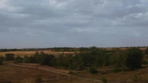 Vast golden fields under a cloudy sky captured during a serene train journey in Stock Footage 318289533