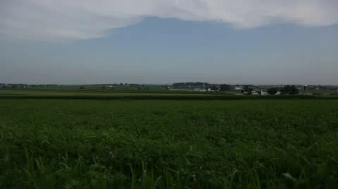 Vast grass field Stock Footage 21786610