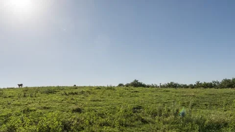 Vast Grassland Landscape Time-lapse with Moving Sunlight and Cloud Shadows Stock Footage 326690643