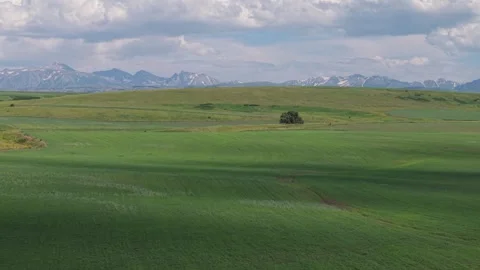Vast green field with lone tree and mountain range backdrop Stock Footage 312442005