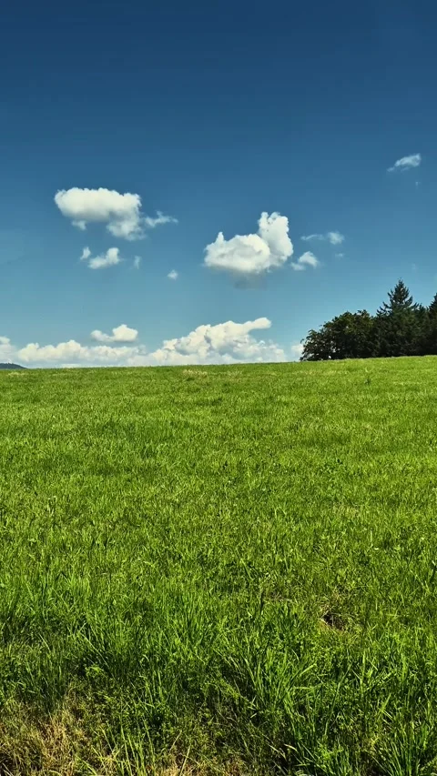 Vast Green Field Under a Clear Blue Sky with Clouds Stock Footage 285647135