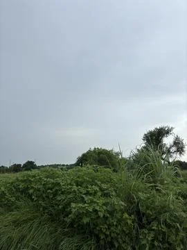 Vast Green Field Under a Cloudy Sky Stock Photos
