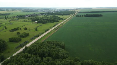Vast green fields and dense forest stretch alongside a quiet country road Stock Footage 316245723