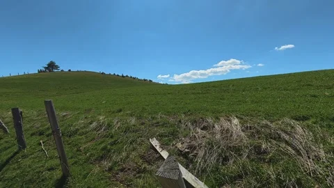 Vast green fields stretch under a clear blue sky. Balkan, Eastern Europe, POV Video stock 333443341