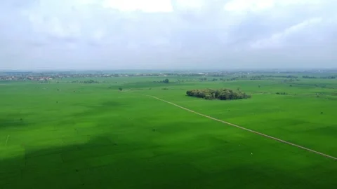 Vast green fields stretch under cloudy skies Видео 336270224