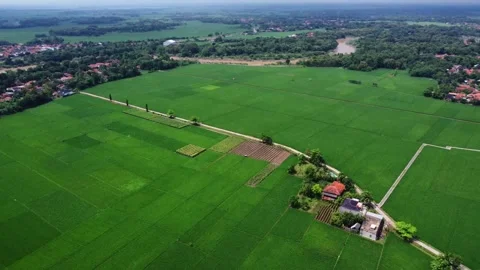Vast green fields stretch under cloudy skies Vídeo Stock 336270468