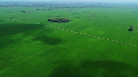 Vast green fields stretch under cloudy skies Видео 336270659