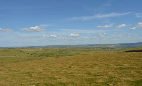 Vast Green Fields Stretch Under a Bright Blue Sky in a Serene Landscape Stock Photos