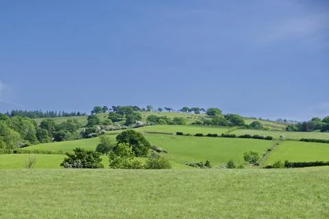 Vast green fields stretch under clear blue skies Stock Photos