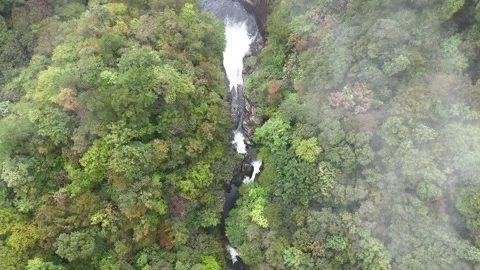 Vast Green Forest &amp; River Gorge Top Down - 4K Aerial Video Stock Footage 329052395