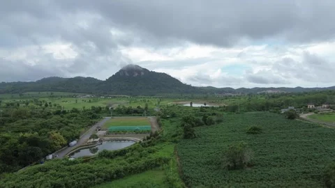 Vast Green Landscape Featuring Mountainous Terrain and Overcast Sky During Early Stock Footage 278969667