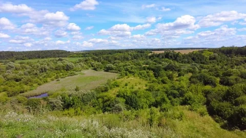 Vast green landscape with trees and clouds during daytime in a rural area Stock Footage 340448249