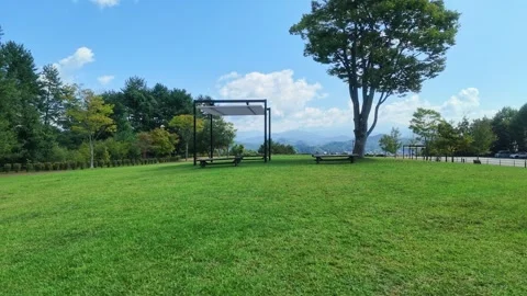 Vast Green Lawn with a Large Tree and Pavilion Stock Footage 346658353
